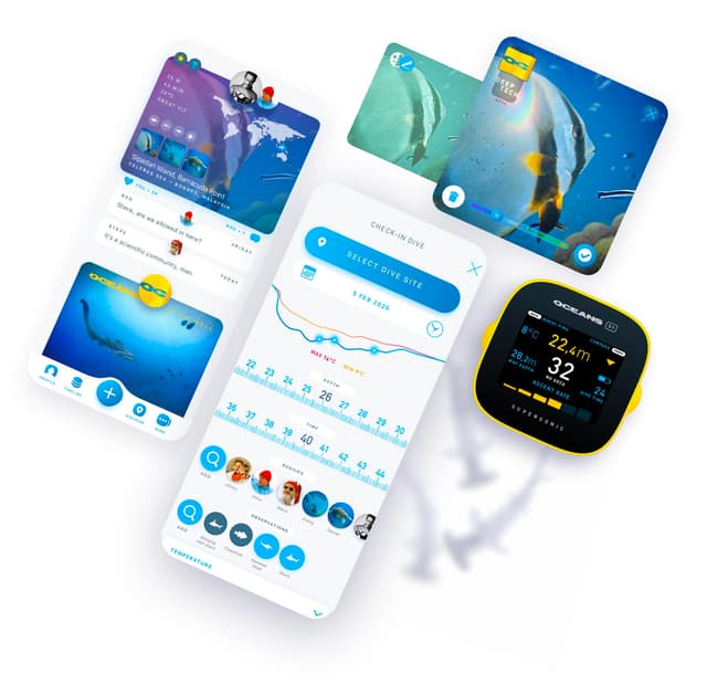 Oceans - The scuba community