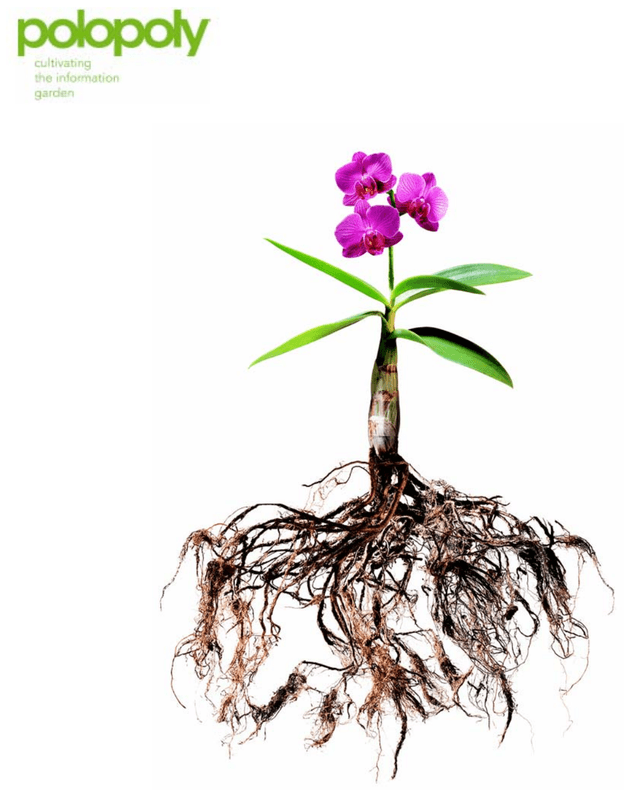 Polopoly - early Swedish CRM platform